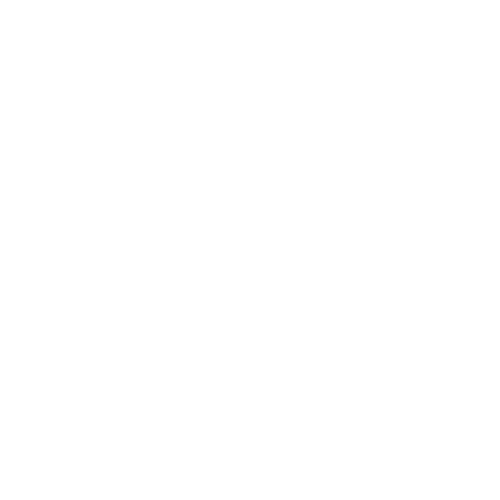 MartijnHoltes.com Logo